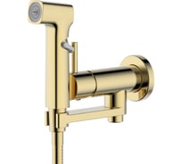 Комплект для гигиенического душа встроенный AQUATEK AQ1819BG НИКА (Смеситель + гигиеническая лейка + шланг), шлифованное золото 00000143151