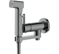 Комплект для гигиенического душа встроенный AQUATEK AQ1819BGM НИКА (Смеситель + гигиеническая лейка + шланг), оружейная сталь 00000143152