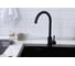 Смеситель кухонный из нержавеющей стали Буали, черный Alcora SS-SF-201 (Black) 2
