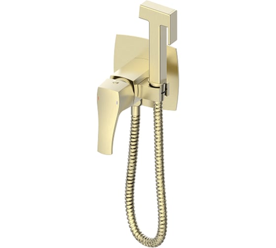 Встраиваемый смеситель с гигиеническим душем Wonzon & Woghand FLEX, Брашированное золото WW-88829072-BG 1