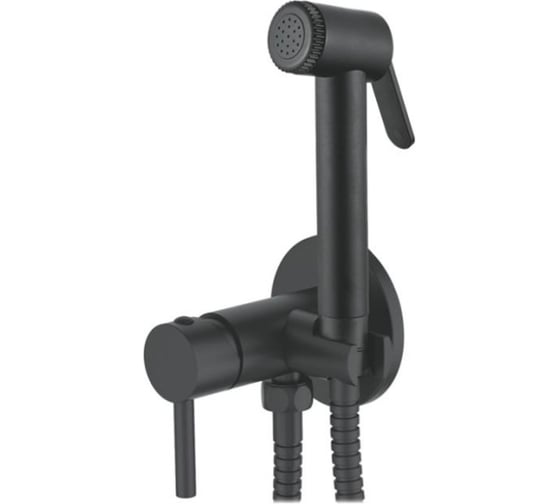Смеситель с гигиеническим душем Ledeme L5398B-2 1
