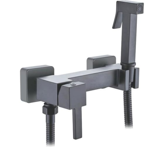 Смеситель с гигиеническим душем Ledeme L5398D-7 1