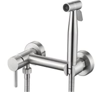 Смеситель с гигиеническим душем Ledeme L75398-6