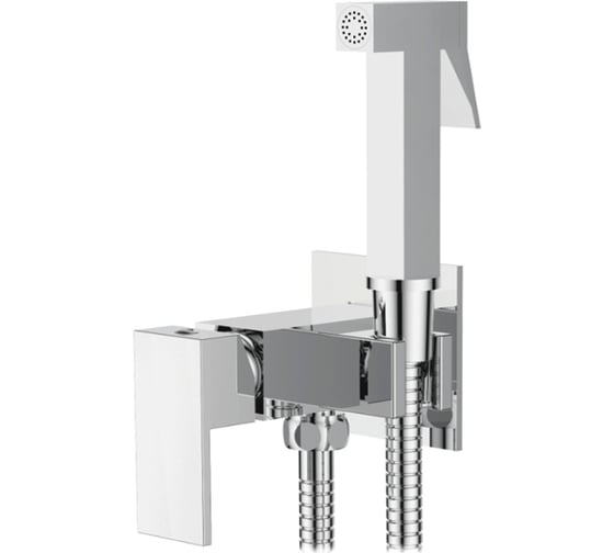 Смеситель с гигиеническим душем Ledeme L5398-8 1