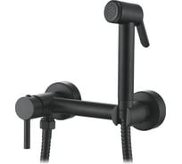 Смеситель с гигиеническим душем Ledeme L5398B-6