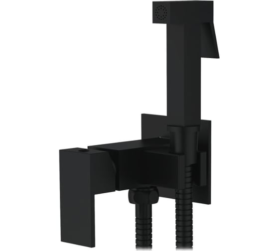 Смеситель с гигиеническим душем Ledeme L5398B-8 1