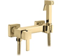 Смеситель с гигиеническим душем Ledeme L5398G-7