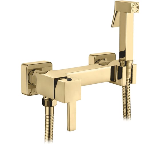 Смеситель с гигиеническим душем Ledeme L5398G-7 1