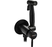 Смеситель с гигиенической лейкой встраеваемый, из нержавеющей стали, круглый корпус, цвет ЧЕРНЫЙ. МАГНУС 2076