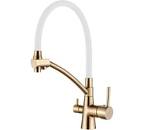 Смеситель для кухни с гибким изливом Ledeme L4855Y-3