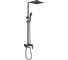 Душевая стойка со смесителем Ledeme L72417B-1 1