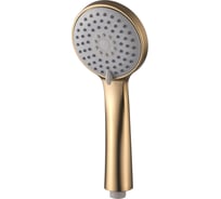 Душевая лейка Ledeme LD003Y