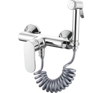 Смеситель с гигиеническим душем Ledeme L5210-1