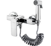 Смеситель с гигиеническим душем Ledeme L5233-1