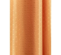 Штора для ванной комнаты Bath Plus терракот, 180х200 SK-07