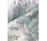 Штора для ванной комнаты Bath Plus 180х200 Nordic3 green ch1848 9