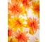Штора для ванной комнаты Bath Plus 180х180 BLAZE FLOWERS оранжевый ch-13456 6