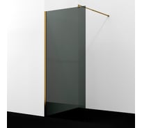 Душевая перегородка WasserKraft Rur 30W46BG-TG