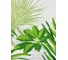 Штора для ванной комнаты Bath Plus Tropica H352-1 белый/зеленый, 180х200 21251/7-P 3