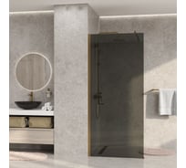 Душевая перегородка WasserKraft Rur 30W40BG-TG