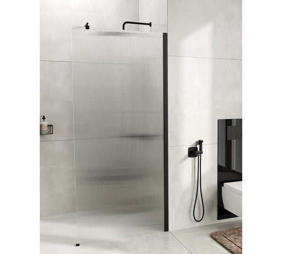 Душевая перегородка WasserKraft Rur 30W39MB-FL 1