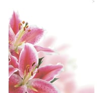 Тканевая шторка для ванны Melodia della vita 180х200 см Розовые лилии MZ-140 20912