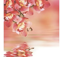 Тканевая шторка для ванны Melodia della vita 180х200см Орхидеи у воды MZ-141 20913