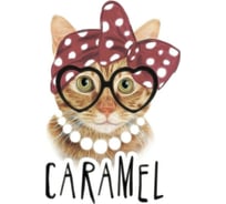 Тканевая шторка для ванны Melodia della vita 180х200см Модная кошечка MZ-133 20905