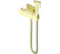 Термостатический смеситель с гигиеническим душем GERHANS NEW K15383Y-1