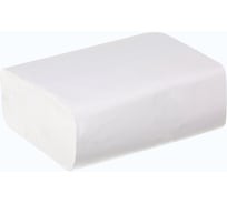 Полотенца листовые ACG Z-сложение, Классик 2 слоя, целлюлоза 21x23 см, 200 л/пачке, (20 пачек) 1028992