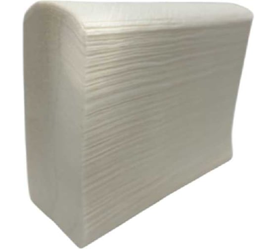 Полотенца листовые ACG Z-сложение, Классик 2 слоя, целлюлоза 21x23 см, 200 л/пачке, (20 пачек) 1028992 1