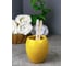 Стакан для зубных щеток Bath Plus 9.5х9.5х10 Giallo W-CE0082PA-TB 6
