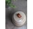 Баночка для ватных дисков Bath Plus PIETRA 9.6х7.5, beige W-CE2242BA-CT 3