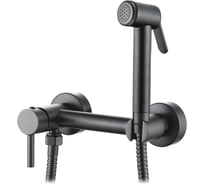 Смесители с гигиеническим душем Ledeme L5398D-6