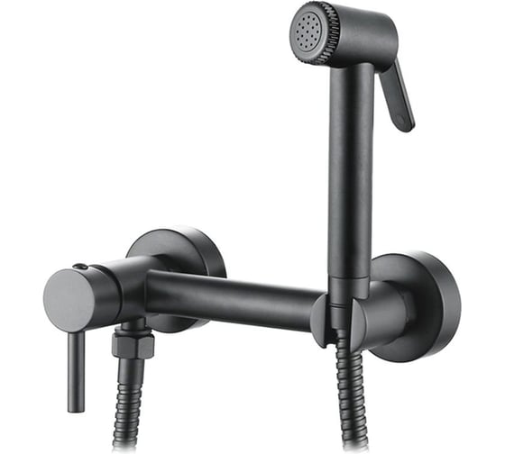 Смесители с гигиеническим душем Ledeme L5398D-6 1