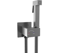 Гигиенический душ River HIGI Q01 GG Брашированная оружейная сталь 10000013669