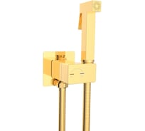 Гигиенический душ River HIGI Q01 GL Золото 10000013671