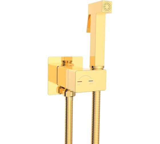 Гигиенический душ River HIGI Q01 GL Золото 10000013671 1