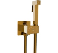 Гигиенический душ River HIGI Q01 BR Бронза 10000013668