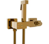 Гигиенический душ River HIGI Q02 BR Бронза 10000013675