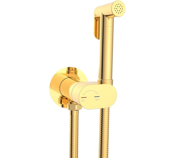 Гигиенический душ River HIGI R01 GL Золото 10000013657 1