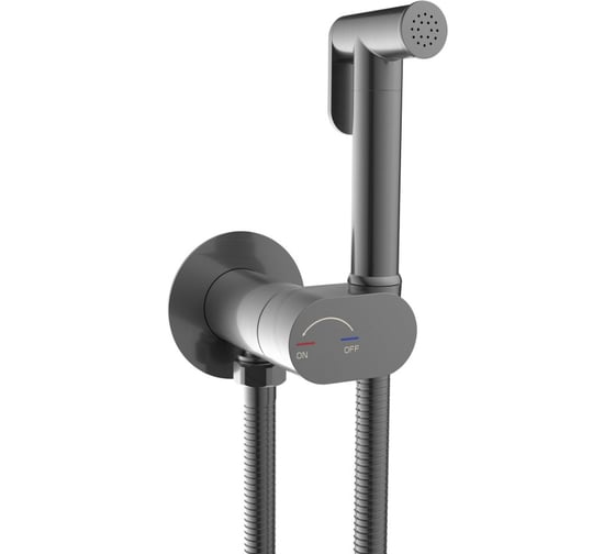 Гигиенический душ River HIGI R01 GG Брашированная оружейная сталь 10000013655 1