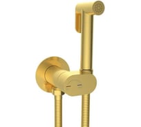 Гигиенический душ RIVER HIGI R01 MGL Матовое золото 10000013656