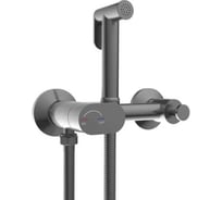 Гигиенический душ River HIGI R02 GG Брашированная оружейная сталь 10000013662