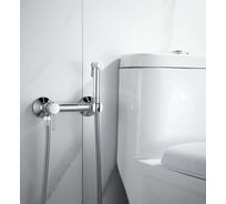 Смеситель для биде ALOUTE с гигиеническим душем хром AH505