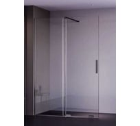 Душевая перегородка Aquanet SW-1200GRT 120х200см, суппорт, стекло 6 мм, прозрачный, профиль графит крашенный (352350) 00352350