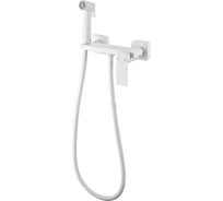 Гигиенический душ со смесителем Valfex латунь Alsephina White (10) VF.5517-8