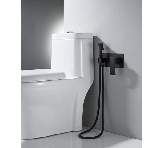 Смеситель для биде встраиваемый с гигиеническим душем ALOUTE, цвет черный A1115H 1