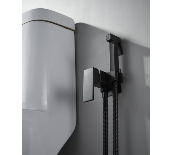 Смеситель для биде ALOUTE шланг 100 см, двойная оплетка, металлический, керамический картридж, с гигиенической лейкой AH355H 1