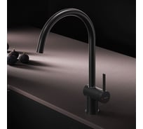 Смеситель для кухни AM.PM Func с С-изливом, черный F8F07022